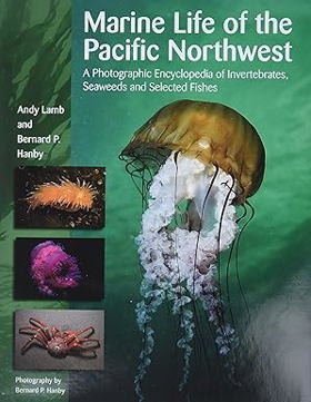 Title Cover Image