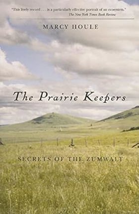 Title Cover Image