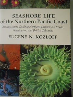 Title Cover Image