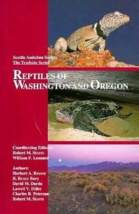 Title Cover Image